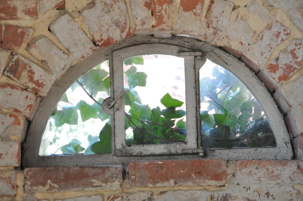 Goecke'S Haus Und Garten - Remise Wettringen  Room photo